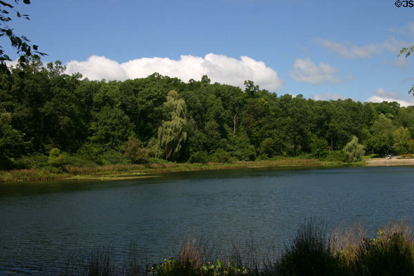 Forest & lake at Hidden Lake Gardens. MI.
