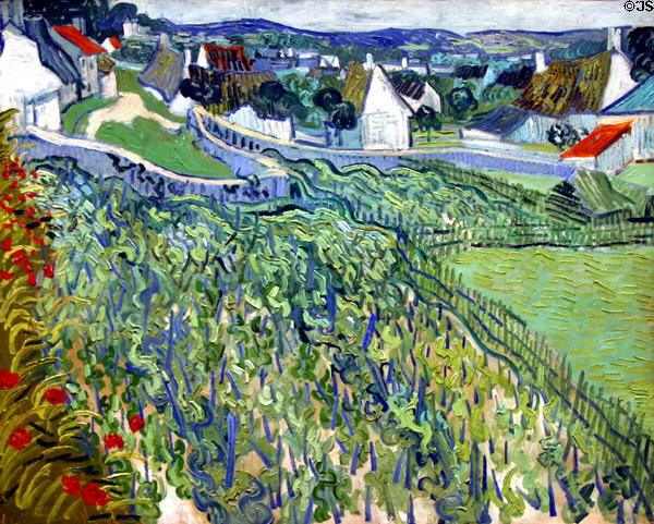 Vineyards at Auvers (1890) by Vincent van Gogh at St. Louis Art Museum. St Louis, MO.