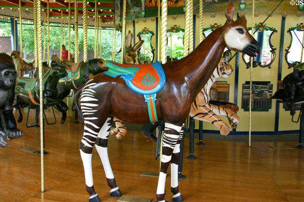 Okapi merry-go-round animal on carousel at St. Louis Zoo. St Louis, MO.