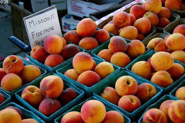 Peaches at Kansas City Market. Kansas City, MO.