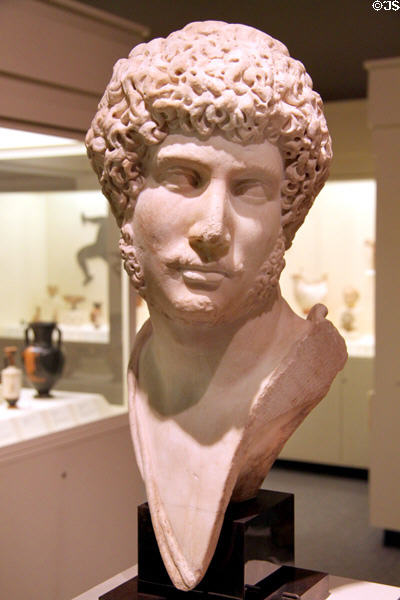 Roman marble portrait head of Emperor Hadrian (c130-140 CE) at University of Missouri Museum of Art & Archaeology. Columbia, MO.