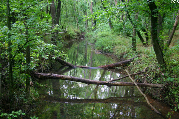 Creek at George Washington Carver's Birthplace National Monument. Diamond, MO.