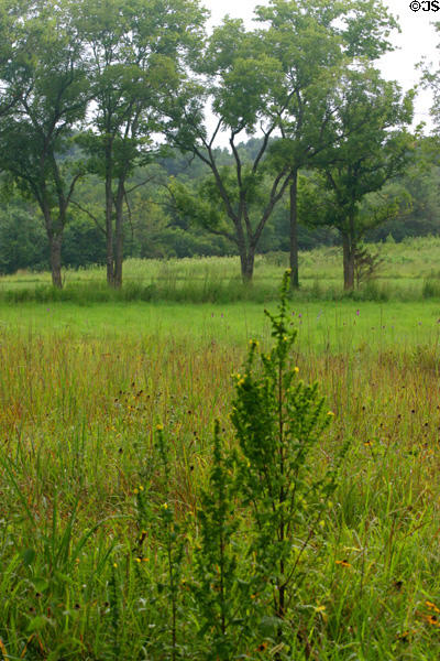 Meadow at George Washington Carver's Birthplace National Monument. Diamond, MO.