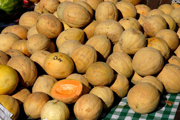 Melons at Haymarket Farmers Market. Lincoln, NE.