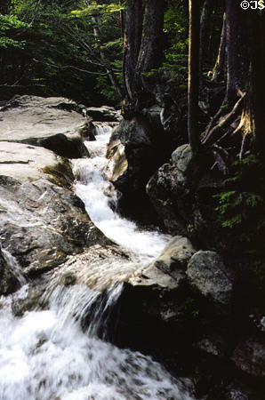 Stream at the Basin Cascades in Franconia Notch. NH.