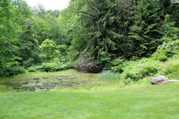 Garden lichens at Stickley Museum at Craftsman Farms. Morris Plains, NJ.