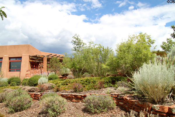 Milner Plaza landscaping by landscape architect G. Robert Johns. Santa Fe, NM.