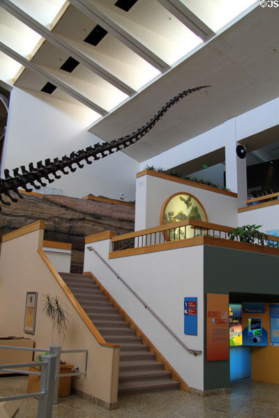 Architecture of lobby of New Mexico Museum of Natural History & Science. Albuquerque, NM.