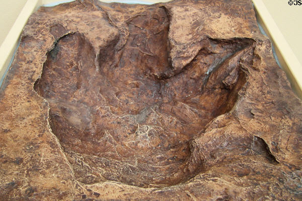 Cast of Tyrannosaurus rex track found in New Mexico at New Mexico Museum of Natural History & Science. Albuquerque, NM.