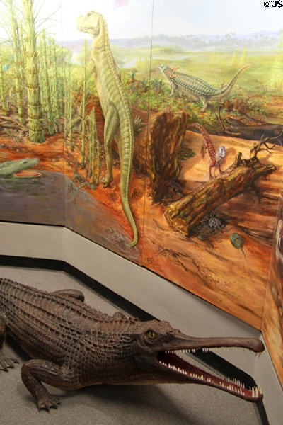 Prehistoric mural with phytosaur reptile model at New Mexico Museum of Natural History & Science. Albuquerque, NM.
