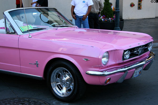 Pink Mustang 289 Convertible (c1965) on street in Reno. Reno, NV.