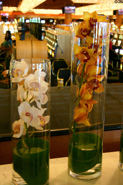 Orchids in casino at Las Vegas Hilton. Las Vegas, NV.