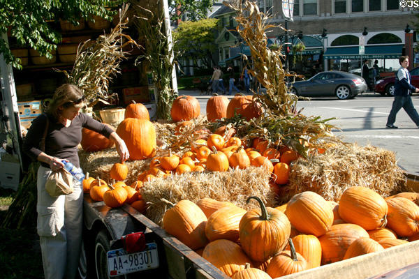 Pumpkins at neighborhood market. Buffalo, NY.