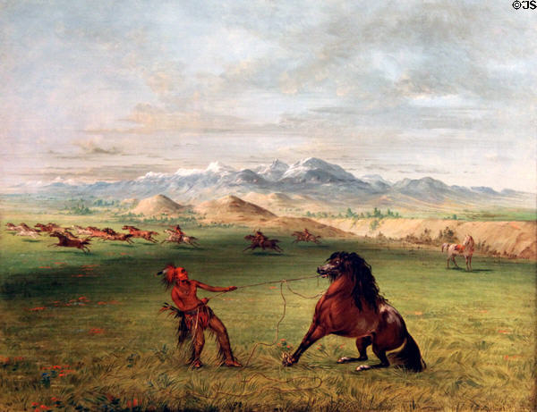 Breaking Down the Wild Horse painting (c1830s) by George Catlin at Rockwell Museum of Art. Corning, NY.