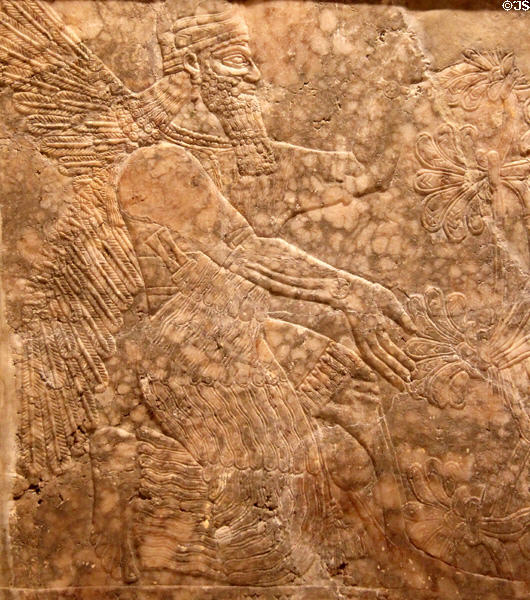Assyrian alabaster slab carved with relief of Genius & flowering tree (c865-860 BCE) from Nimrud at Memorial Art Gallery. Rochester, NY.