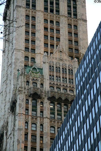 Gothic side wing of Woolworth Building. New York, NY.