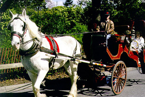 Horse-drawn carriage in Central Park. New York, NY.