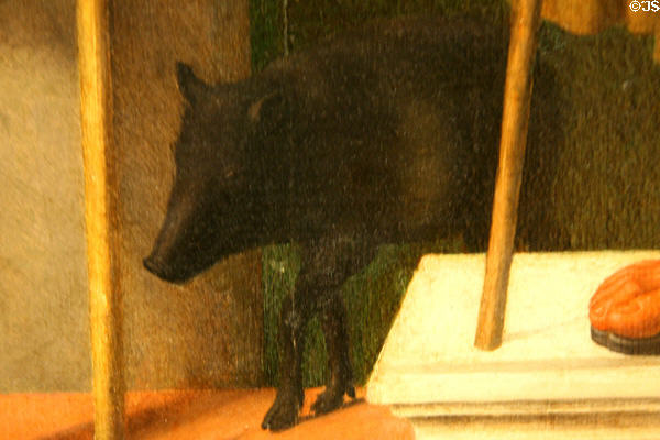 Pig detail of St Anthony Abbot on Three Saints painting (c1513) by Giovanni Battista Cima at Metropolitan Museum of Art. New York, NY.