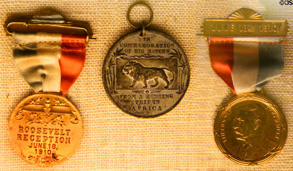 Medals to welcome home Theodore Roosevelt from hunting in Africa (1910) at his Birthplace. New York, NY.