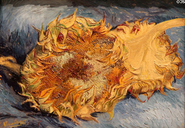 Sunflowers painting (1887) by Vincent van Gogh at Metropolitan Museum of Art. New York, NY.