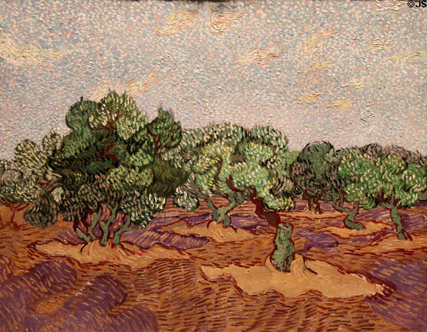 Olive Trees painting (1889) by Vincent van Gogh at Metropolitan Museum of Art. New York, NY.
