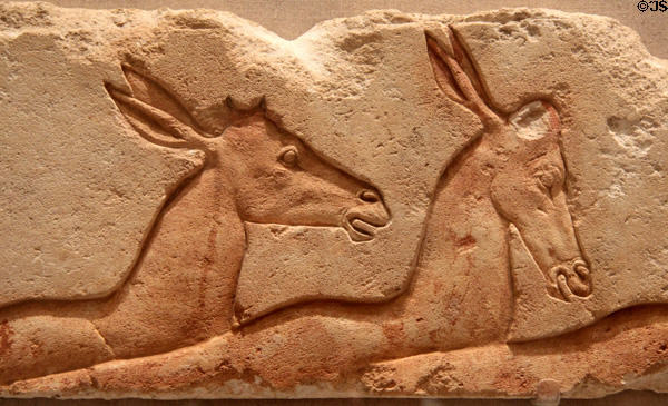 Egyptian limestone scene of antelopes (c1352-1336 BCE / Dynasty 18) originally from Amarna at Brooklyn Museum. Brooklyn, NY.