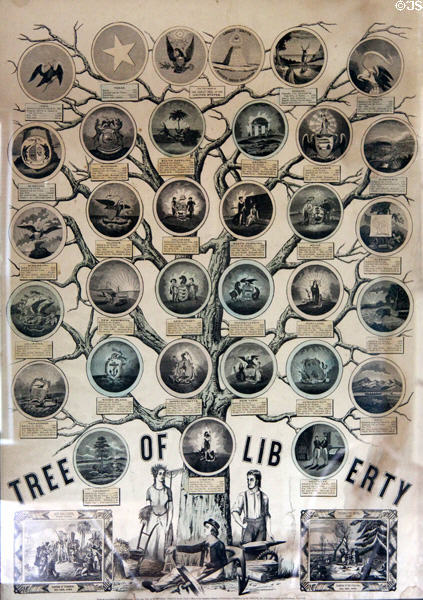 Tree of Liberty graphic (1846) showing when states joined Union published by H. Phelps of New York, NY at Old Bethpage Village. Old Bethpage, NY.