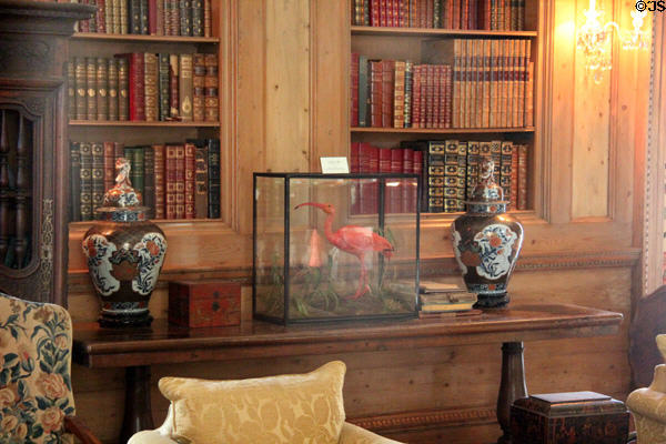 Scarlett Ibis specimen in library at Vanderbilt Mansion. Centerport, NY.