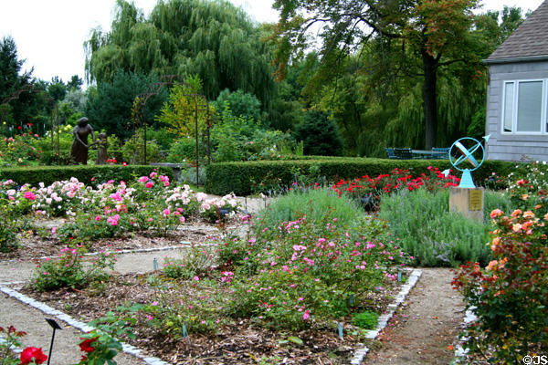 Rose garden at Toledo Botanical Garden. Toledo, OH.