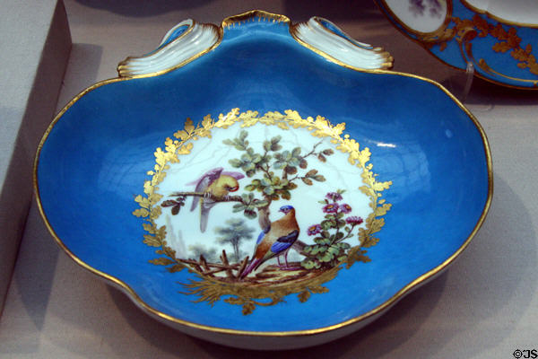 Sèvres porcelain serving dish with exotic birds (c1771) at Toledo Museum of Art. Toledo, OH.