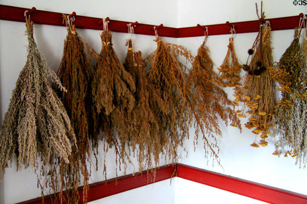 Dried herbs in kitchen at Johnston Farm. Piqua, OH.