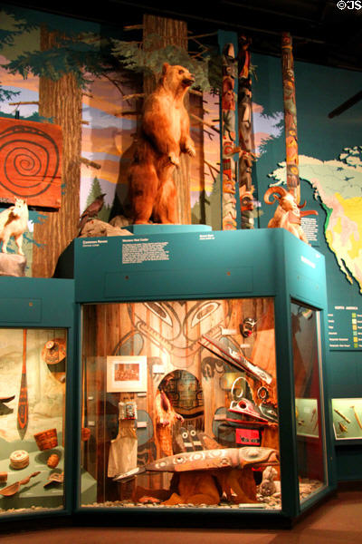 Display of Native American cultures at Cleveland Museum of Natural History. Cleveland, OH.
