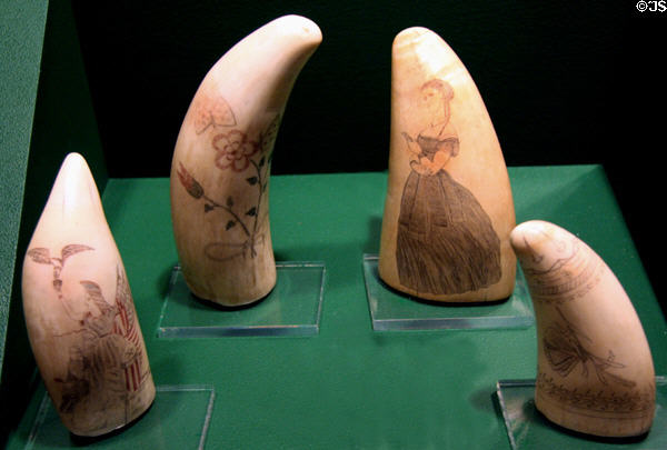 Whales teeth scrimshaw at Columbia River Maritime Museum. Astoria, OR.