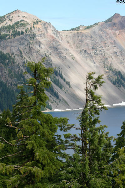 Trees against slopes of Crater Lake National Park. OR.