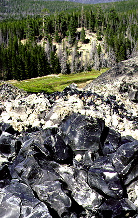 Obsidian (volcanic glass) fields in Newberry Crater. OR.