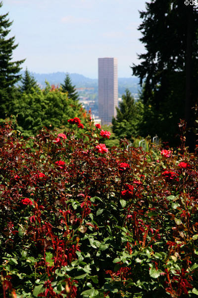View of U.S. Bancorp Tower in downtown Portland above Rose Garden. Portland, OR.
