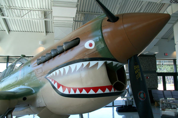 Flying Tiger teeth of Curtiss P-40N (1943) at Evergreen Aviation & Space Museum. OR.