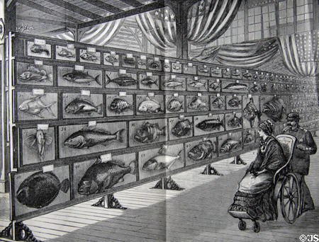 Food Fishes of the Sea in United States Government Building at Centennial Exposition. Philadelphia, PA.