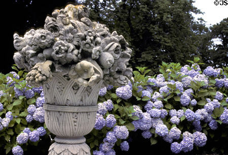 Marble House garden stone urn & hydrangeas. Newport, RI.