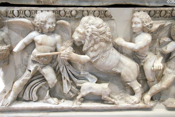 Detail of lion on Roman marble sarcophagus (2nd C CE) from Dokimeion, now Afyon, Turkey at RISD Museum. Providence, RI.