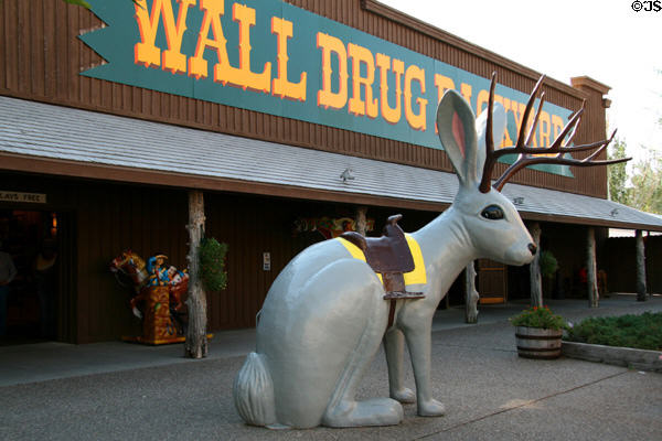 Jackalope in Wall Drug Store. Wall, SD.
