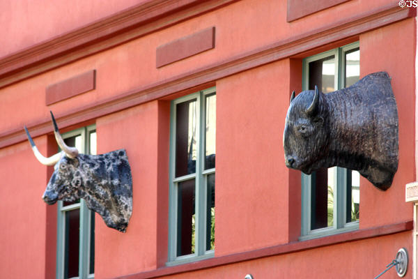 Buckhorn Bar & Museum with buffalo & longhorn heads on exterior (318 East Houston). San Antonio, TX.