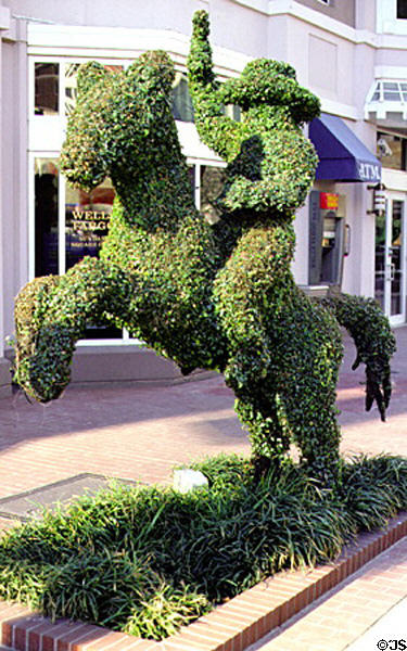 Topiary cut like cowboy on horse. Fort Worth, TX.