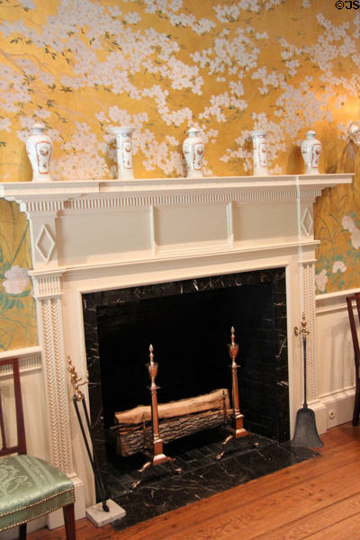 Dining room fireplace with hand-painted wallpaper (1927-8) by William MacKay of New York at Bayou Bend. Houston, TX.