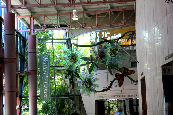 Lobby of Museum of Natural Sciences. Houston, TX.