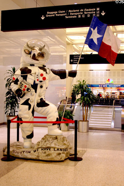 Sculpture of cow in space suit landing on moon at Houston airport. Houston, TX.