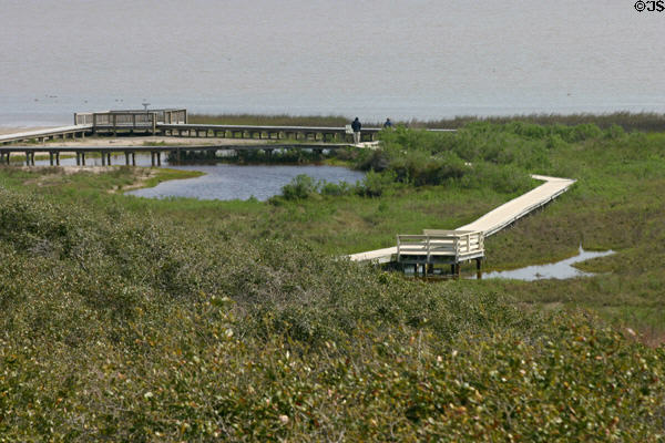 Boardwalk at Aransas National Wildlife Refuge. TX.