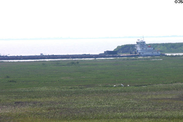Whooping cranes in distance as tanker passes by at Aransas National Wildlife Refuge. TX.