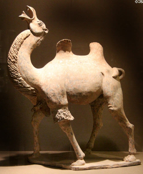 Tang dynasty earthenware camel (late 7thC) from China at San Antonio Museum of Art. San Antonio, TX.