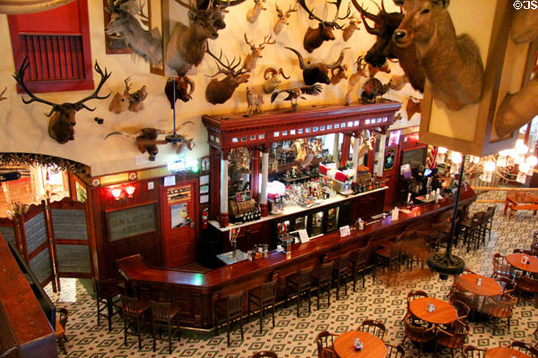 Buckhorn Saloon interior with collection of mounted trophy heads. San Antonio, TX.